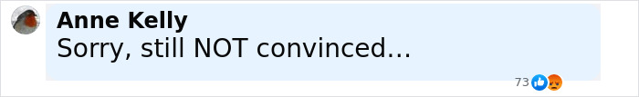 Comment by Anne Kelly saying Sorry, still NOT convinced, with 73 reactions including likes and angry emojis, related to sole survivor of Air India crash.