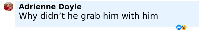 Comment from Adrienne Doyle asking why he didn&rsquo;t grab his brother during Air India crash survival moment.