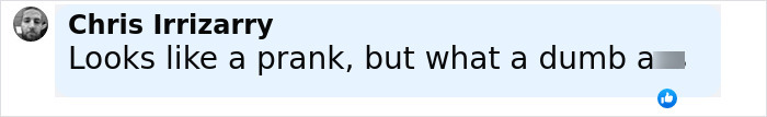 Comment by Chris Irrizarry expressing skepticism about a prank related to a Disneyland wedding involving a 9-year-old girl.
