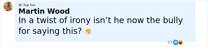 Comment by user Martin Wood questioning irony related to Pedro Pascal defending criticism of JK Rowling, displayed on social media.