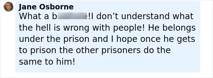 Screenshot of a social media comment about a caring mother with a portion of jaw missing naming her alleged attacker.