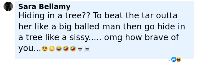 Comment by Sara Bellamy expressing disbelief and sarcasm about someone hiding in a tree after a violent encounter.