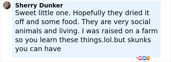 Baby Raccoon Rescued In The Most Wholesome Way After Getting Stranded On Doorstep In Heavy Rains Baby Raccoon Rescued In The Most Wholesome Way After Getting Stranded On Doorstep In Heavy Rains