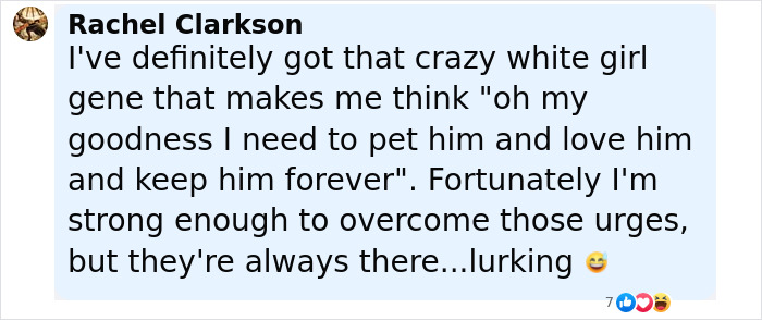 Baby Raccoon Rescued In The Most Wholesome Way After Getting Stranded On Doorstep In Heavy Rains Baby Raccoon Rescued In The Most Wholesome Way After Getting Stranded On Doorstep In Heavy Rains