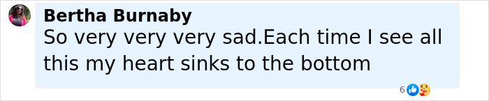Comment by Bertha Burnaby expressing deep sadness about the sole survivor of Air India crash&rsquo;s heartbreaking final act.