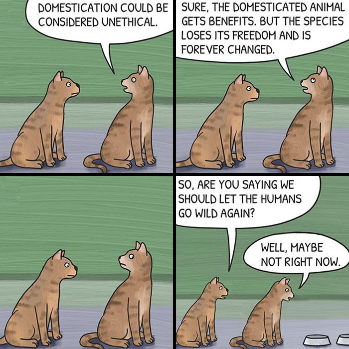 20 Comics By ‘Bonus Context’ That Mix Humor With Existential Thoughts In The Most Unexpected Way