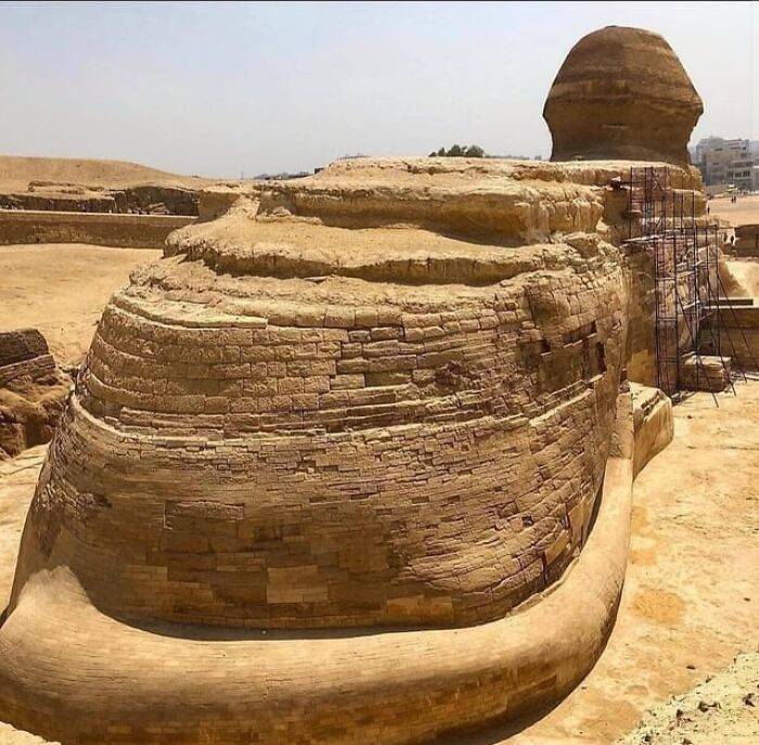 Side view of the ancient Sphinx showing detailed stonework and texture in photos alternative angles unseen perspective.