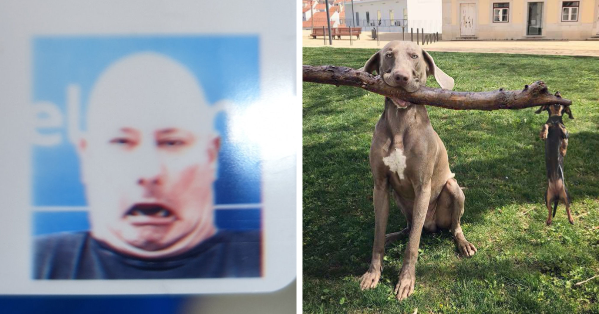 30 Divertidas fotos para hacerte reír hoy