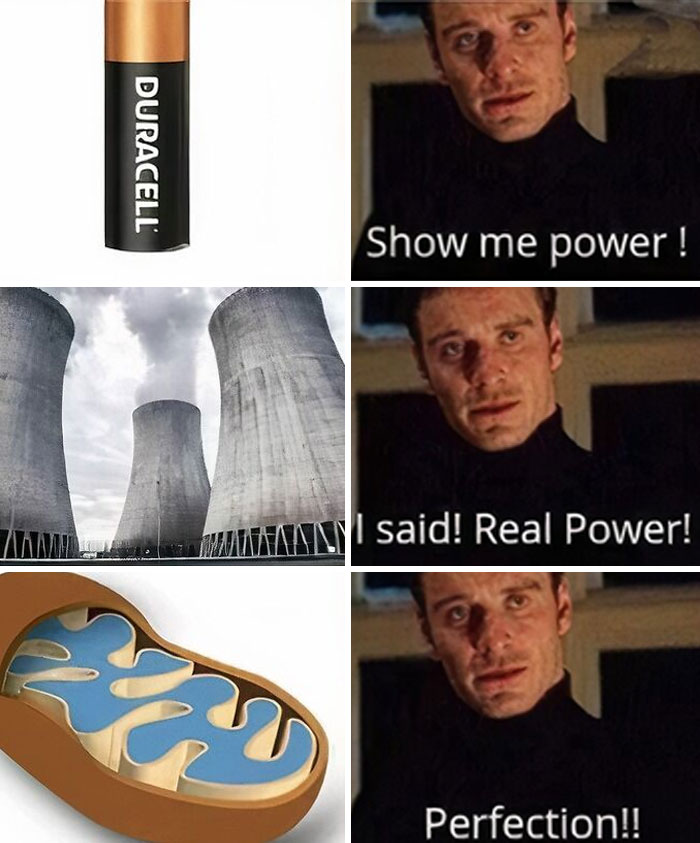Meme comparing a battery, nuclear power plant, and mitochondria highlighting physics and power concepts.