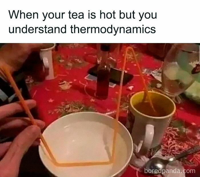 A person uses a complex straw setup to cool hot tea, combining physics concepts in a fun and witty way.