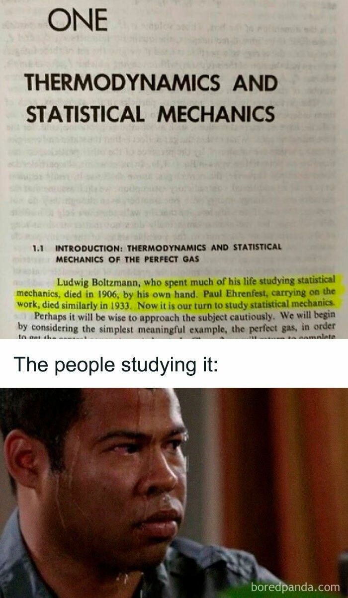Page showing thermodynamics and statistical mechanics text with highlighted quote, followed by a nervous sweating man meme about physics study.