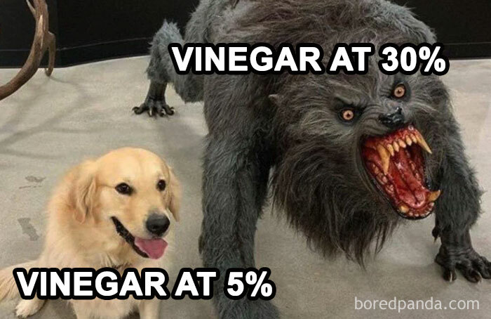 Dog labeled vinegar at 5% looks calm, while fierce creature labeled vinegar at 30% shows dramatic contrast in physics memes.