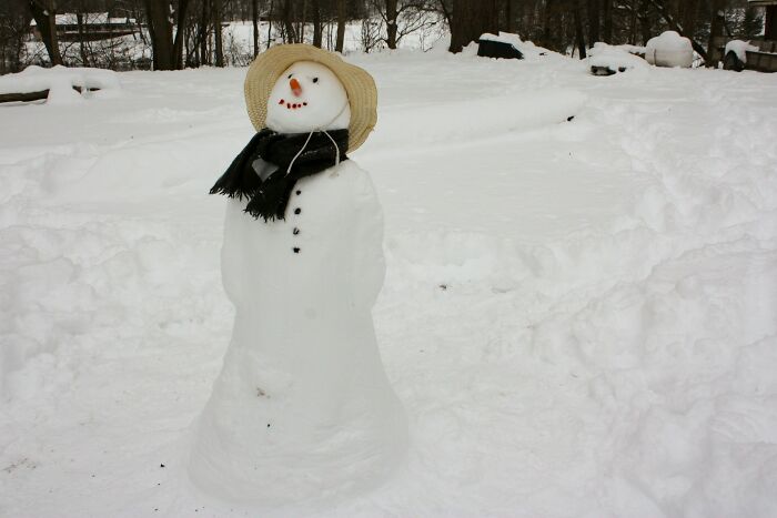 Snowman wearing a hat and scarf in a snowy yard, illustrating a humorous scene police got dragged into nonsense.