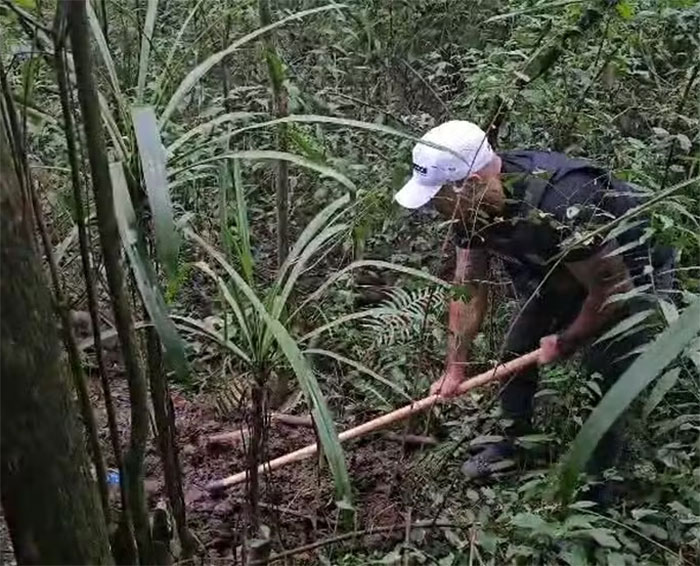 Man in white cap searching in dense forest, related to beauty queen strangled by family friend and former teacher case