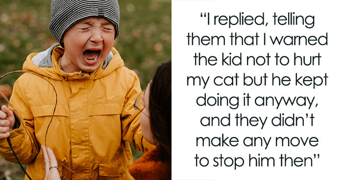 Cat Teaches Aggressive Child Not To Hurt Animals After Parents Failed To Do So