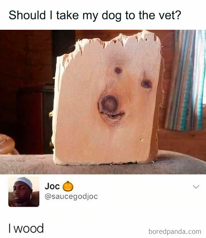 Funny meme showing a face in a wood block with a pun about taking a dog to the vet to decompress.