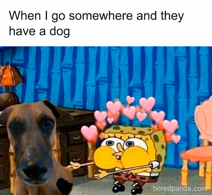 SpongeBob with hearts around him reaching out to a dog, illustrating a hilarious meme to help you decompress with humor.