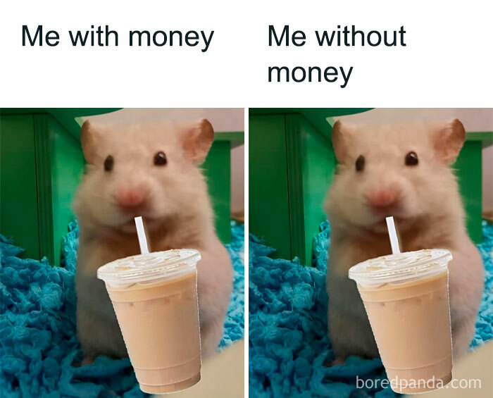 Funny meme of a hamster drinking iced coffee comparing life with and without money for decompressing with hilarious memes.