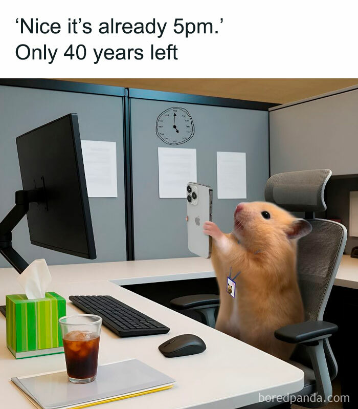 Hamster at an office cubicle taking a selfie with a phone, illustrating memes to help you decompress from stress.