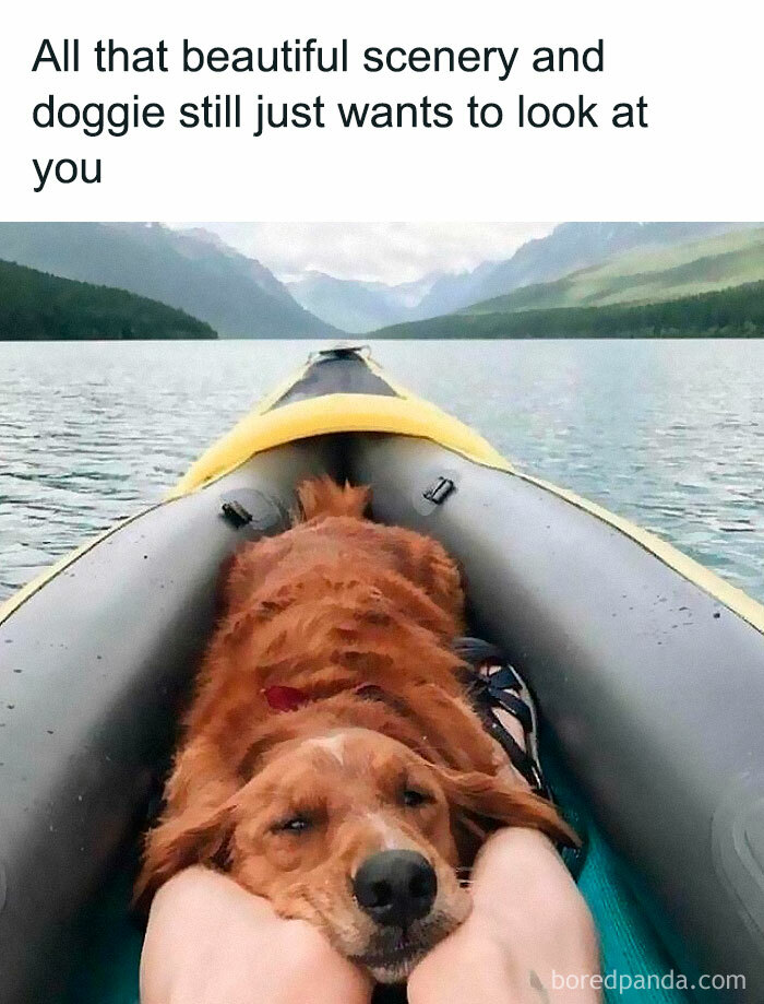 Dog resting head on legs in a kayak surrounded by nature, a wholesome meme expressing love and peaceful moments.