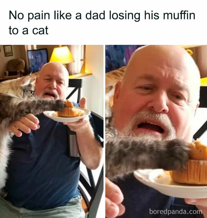 A dad reacting as a cat reaches to take a muffin, capturing a wholesome moment from wholesome memes.