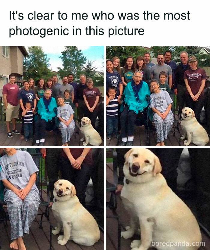 Group photo with a smiling dog stealing the spotlight, showcasing wholesome memes to send to your favorite people.