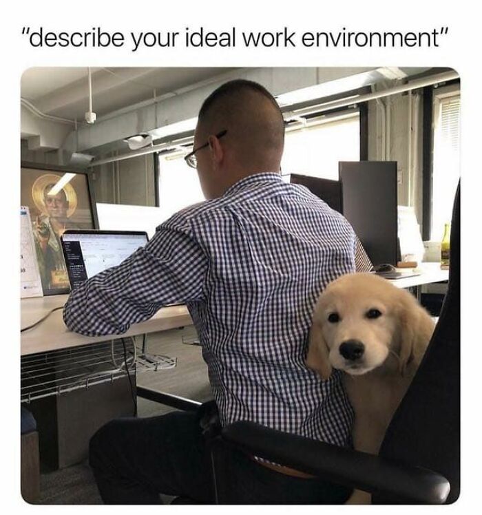 Man in checkered shirt working at desk with golden retriever puppy behind chair, a wholesome meme about ideal work environment.
