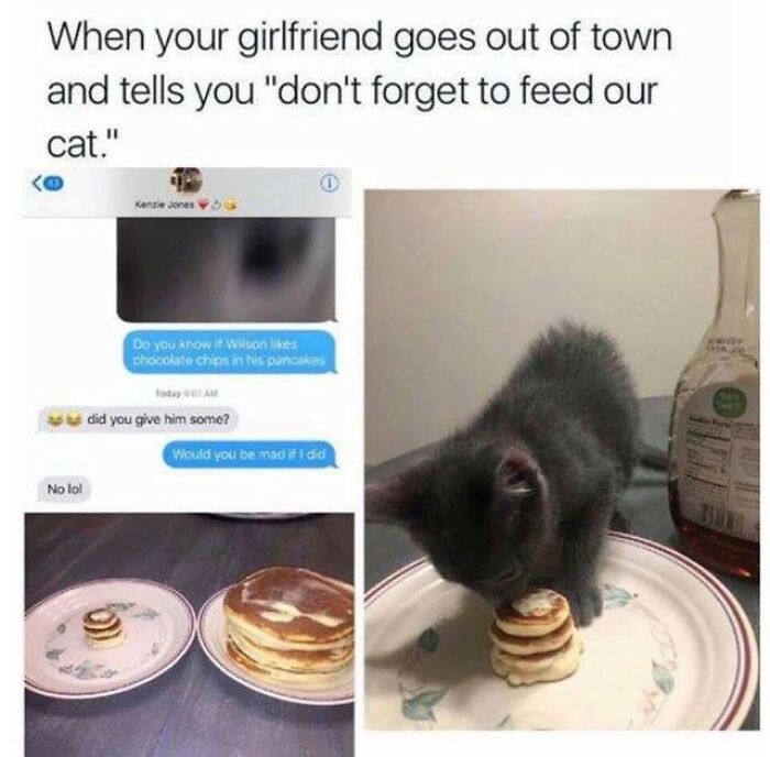 Text message conversation about feeding a cat chocolate chip pancakes, paired with a kitten eating tiny pancakes wholesome memes.