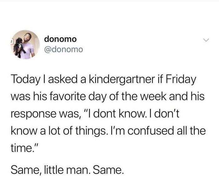 Tweet text showing a wholesome meme about a kindergartner's confusing feelings, perfect for sharing wholesome memes.