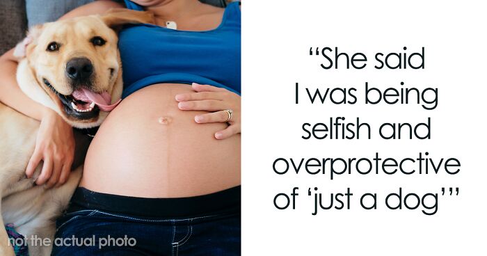 “Family, Not Decoration”: Overprotective Dog Owner Shuts Down Sister’s Dream Maternity Shoot