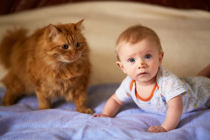 Ginger cat and baby lying on a bed together, highlighting companionship and refusing to let rehome cat concerns.