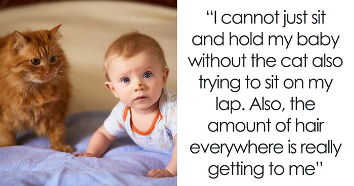 Hubby Stands Firm Against Postpartum Wife Who Wants To Rehome Their Family Cat Due To Its Clinginess