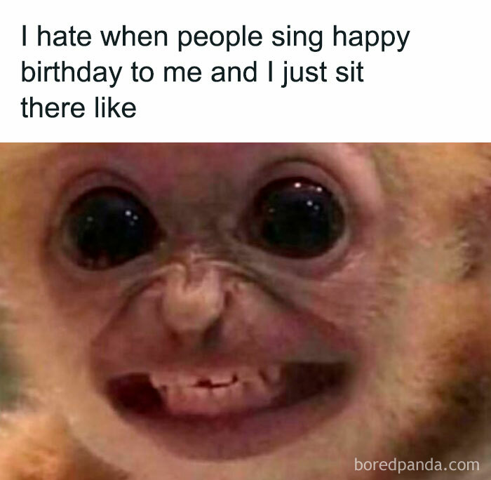 Monkey making an awkward face, illustrating relatable energy in funny moments when people sing happy birthday.