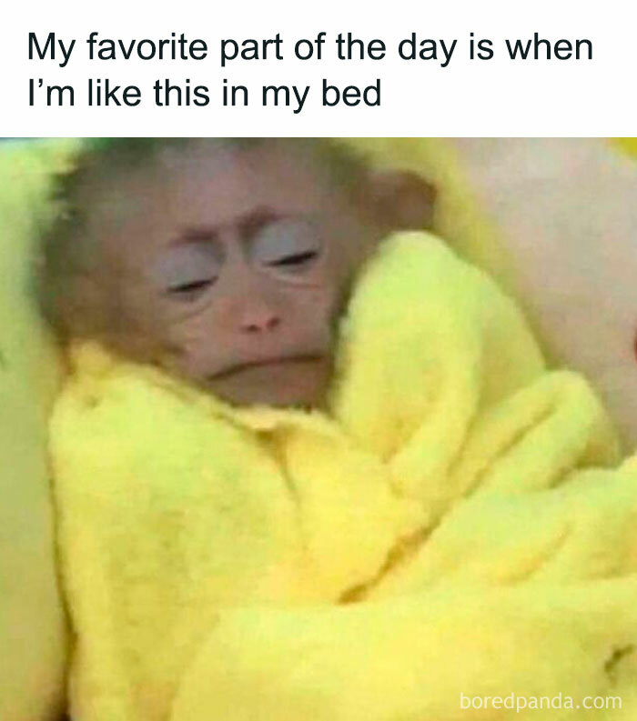Relatable energy meme showing a sleepy monkey wrapped in a yellow blanket in bed, capturing cozy moments.