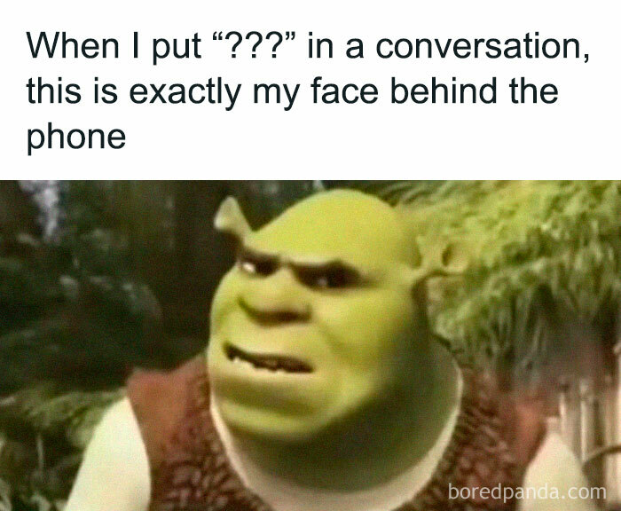 Relatable energy meme showing Shrek’s confused face behind the phone when using question marks in a conversation.