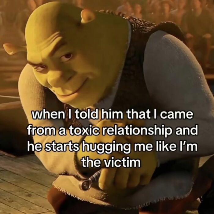 Shrek meme illustrating relatable moments about toxic relationships in memes capturing the chaos of navigating the world as a woman today.