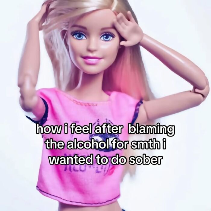 Barbie doll expressing relatable chaos of navigating the world as a woman, caption about blaming alcohol for actions.