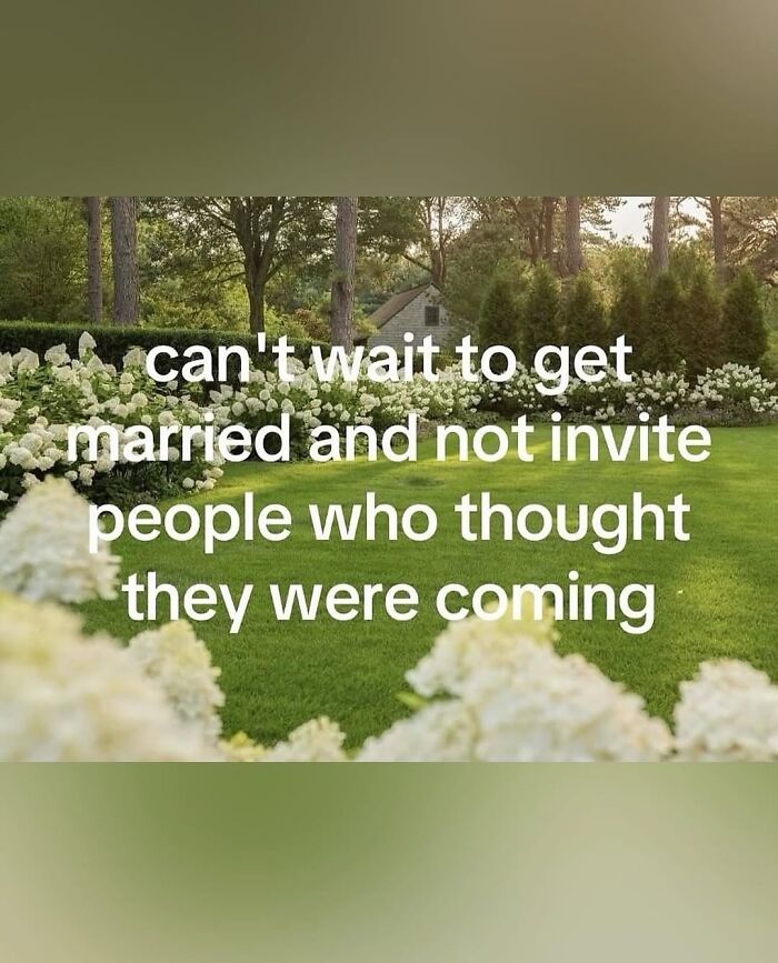 Meme about marriage plans with green garden background, illustrating relatable chaos of navigating the world as a woman.