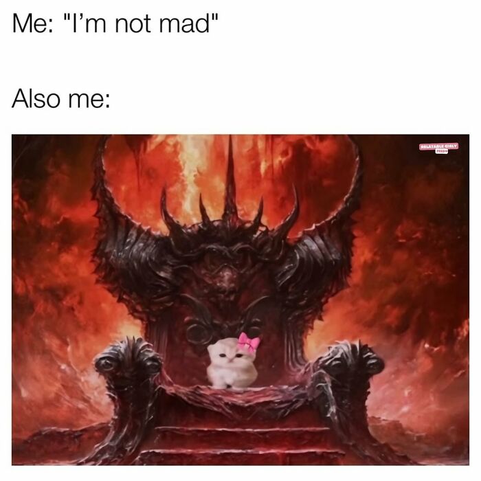 A small cute cat with a pink bow sitting on a dark throne amid fiery chaos, illustrating relatable memes about navigating life.
