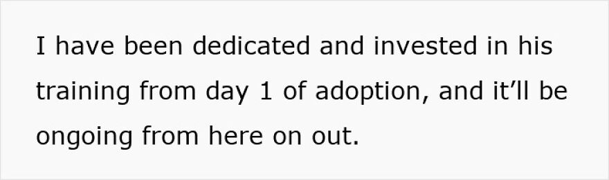 Text on screen showing a dedication to rescue dog training from day one of adoption and continuing onward.