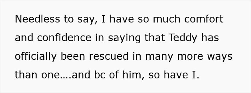 Text expressing comfort and confidence in Teddy being officially rescued and positively impacting the owner&rsquo;s life.