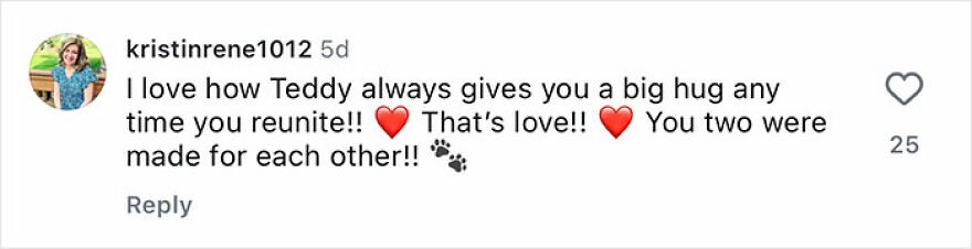Comment expressing love for a rescue dog Teddy giving big hugs during emotional reunions with its owner.