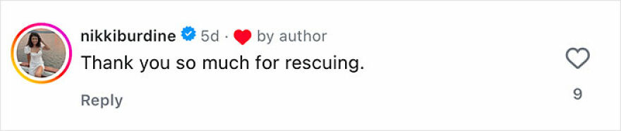 Comment from user expressing gratitude for rescuing a dog in a heartfelt online post about rescue dog reunions.