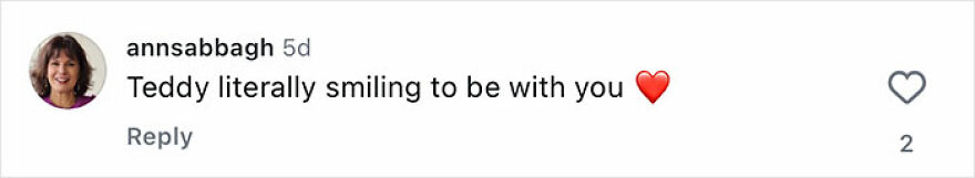 Comment expressing joy about a rescue dog named Teddy smiling happily to be with its owner.