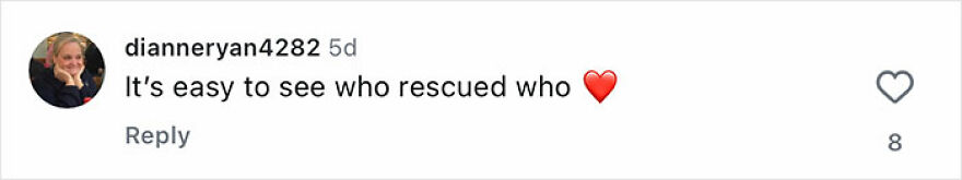Social media comment expressing affection about a rescue dog reuniting with its owner, including a red heart emoji.