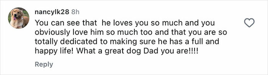 Comment praising the deep bond between a rescue dog and its loving owner, highlighting dedication and happiness.