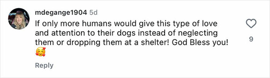 Comment expressing hope that more humans would give love and attention to rescue dogs instead of neglecting them.