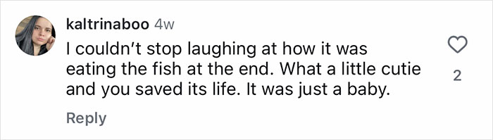 Comment expressing laughter and affection about an adorable gentle giant who became a dad for an orphaned baby raccoon.