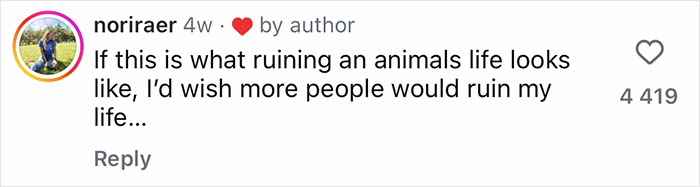 Instagram comment expressing a wish for more people to impact the poster's life positively, related to gentle giant and orphaned raccoon.