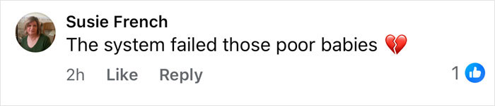 Screenshot of Susie French's comment saying the system failed those poor babies with a broken heart emoji, referencing tragic cause of passing for 3 sisters.